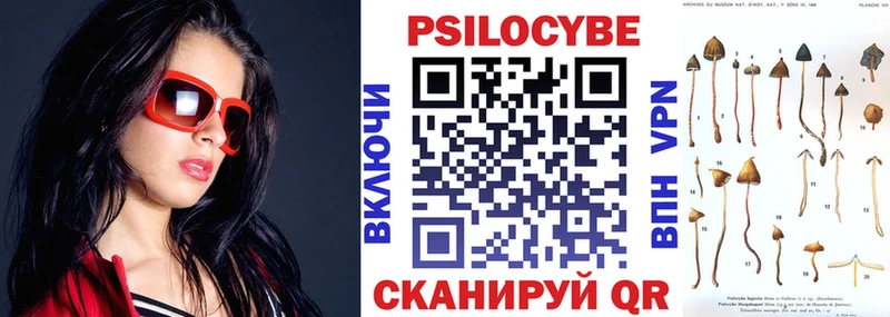 Псилоцибиновые грибы прущие грибы Каргат